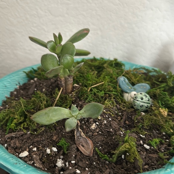 Meet your Posher, Sam - Picture 4 of 6